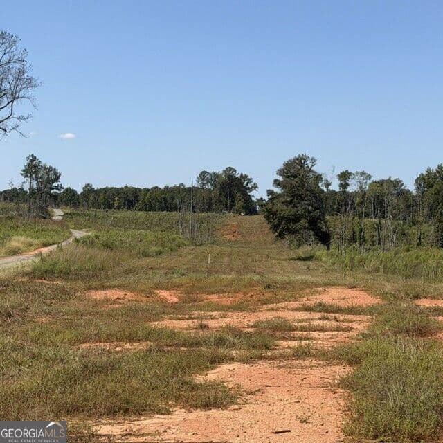agriculture for sale at 76 +/- ACRES ON Gibson Road, Talbotton, GA 31827 — photo 3