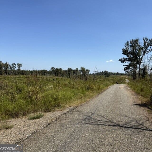 agriculture for sale at 76 +/- ACRES ON Gibson Road, Talbotton, GA 31827