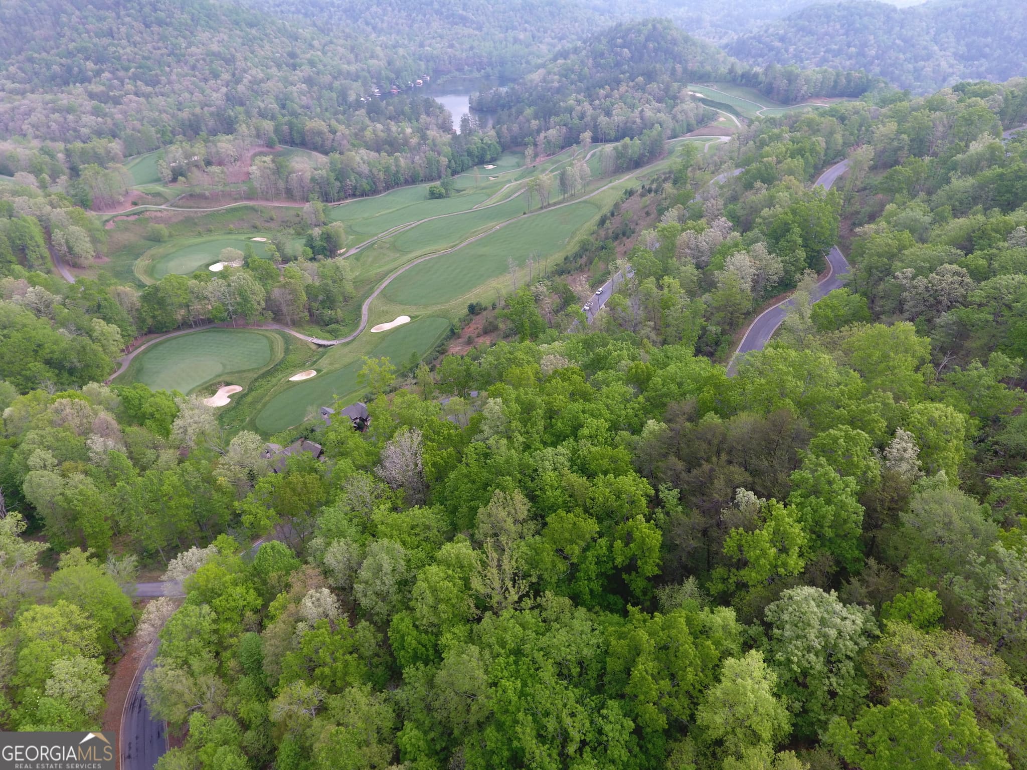 residential lot for sale at J 45 Bent Grass Drive, Clayton, GA 30525 — photo 9