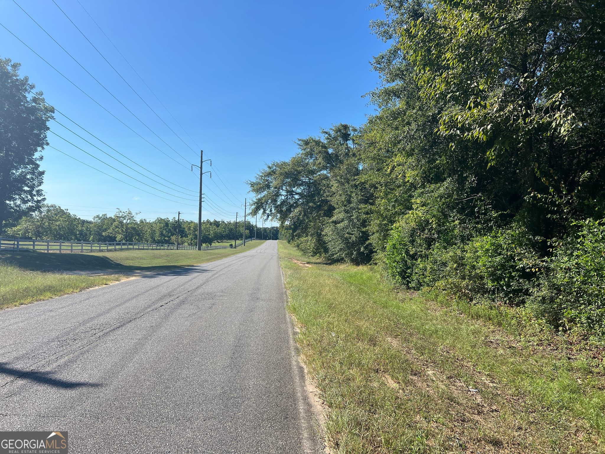 unimproved land for sale at 0 Industrial Boulevard, Hawkinsville, GA 31036 — photo 6