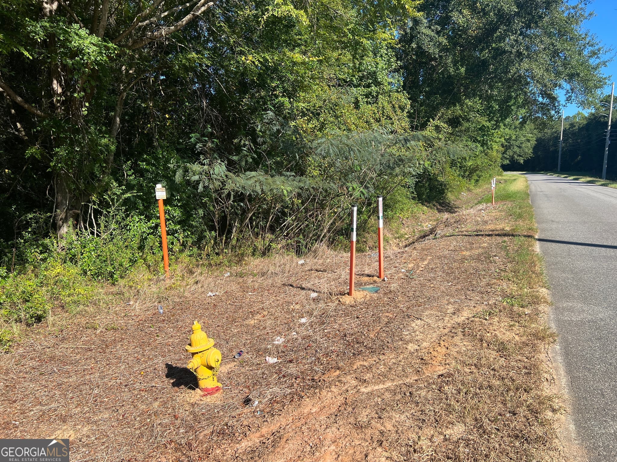 unimproved land for sale at 0 Industrial Boulevard, Hawkinsville, GA 31036 — photo 7