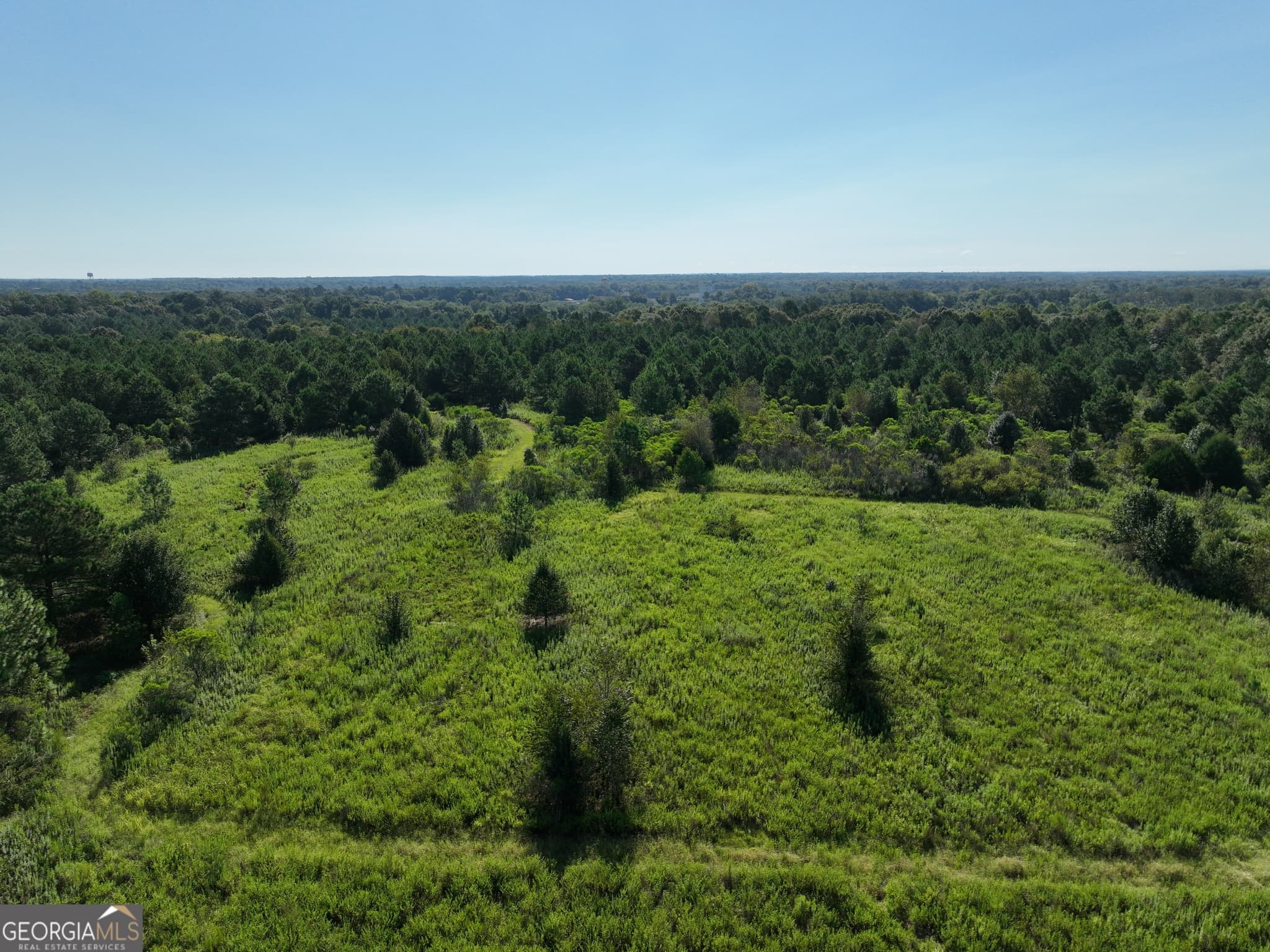 unimproved land for sale at 0 Industrial Boulevard, Hawkinsville, GA 31036 — photo 3