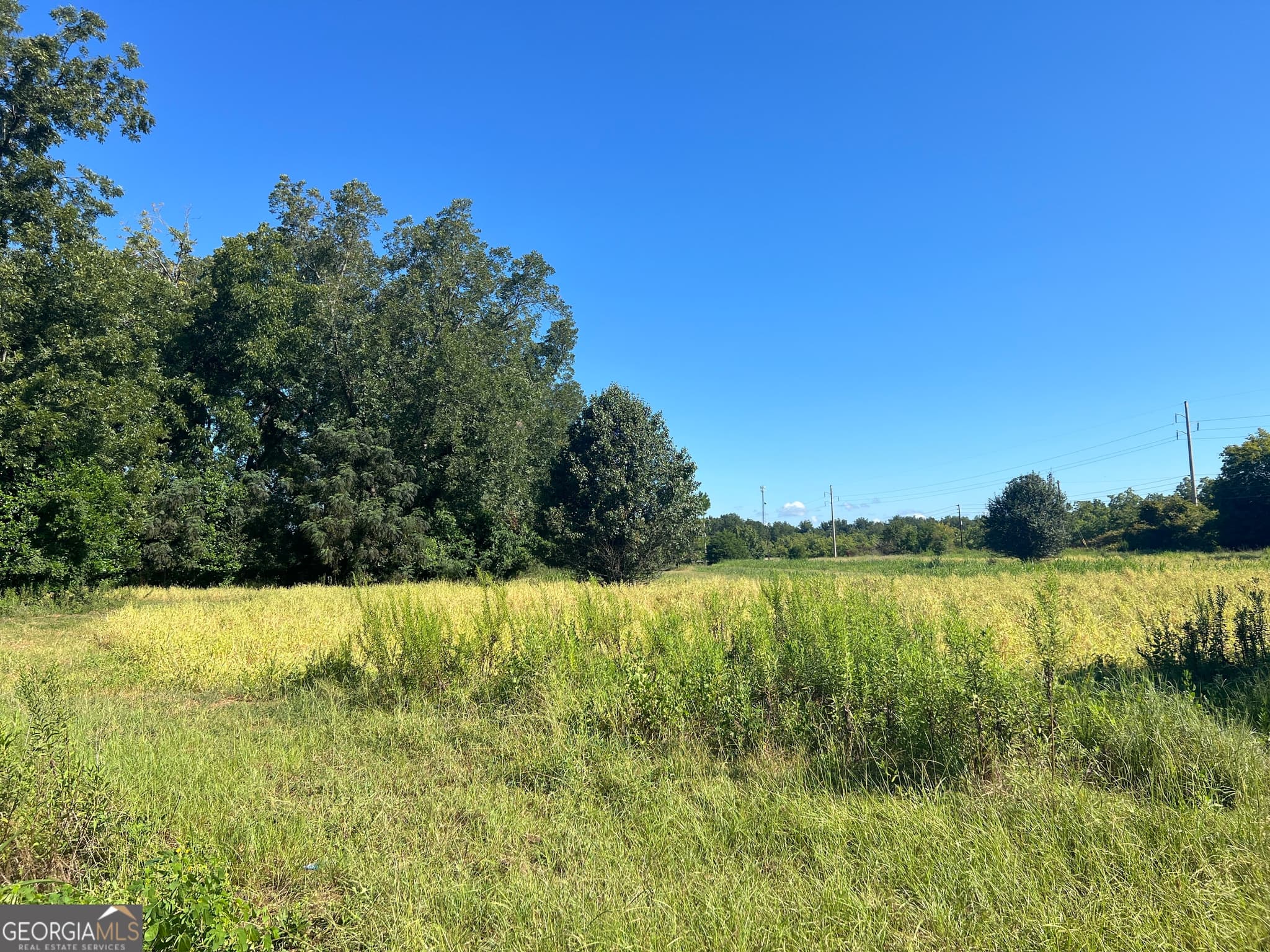 unimproved land for sale at 0 Industrial Boulevard, Hawkinsville, GA 31036 — photo 5