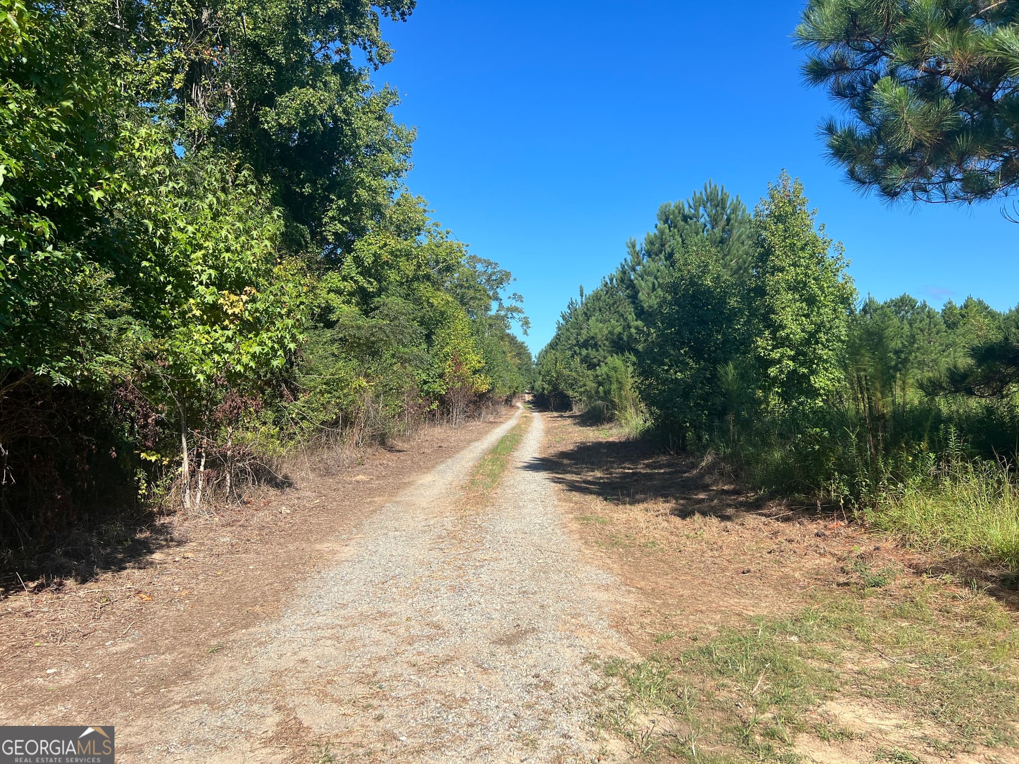 unimproved land for sale at 0 Industrial Boulevard, Hawkinsville, GA 31036 — photo 9