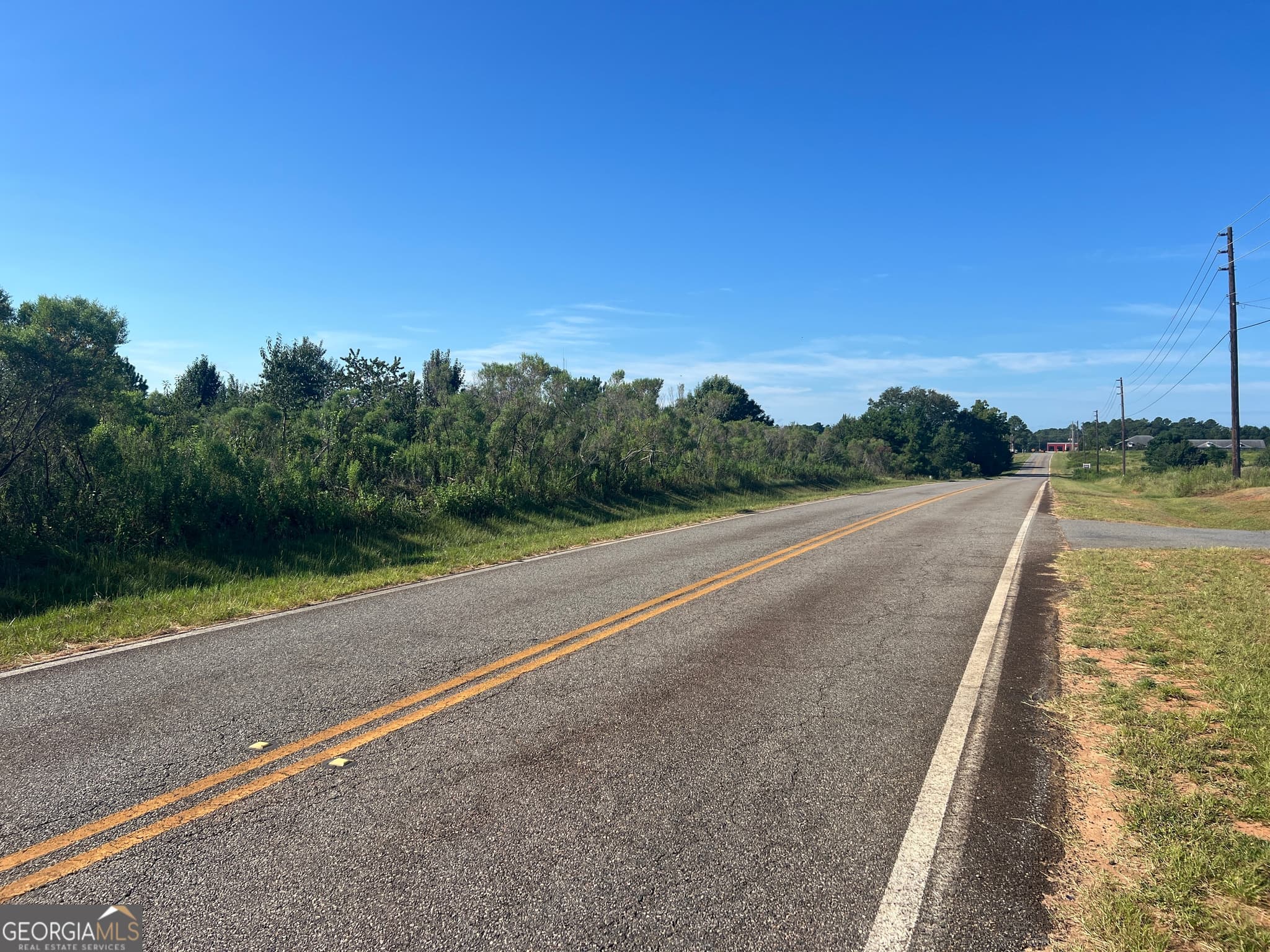 unimproved land for sale at 0 Industrial Boulevard, Hawkinsville, GA 31036 — photo 4