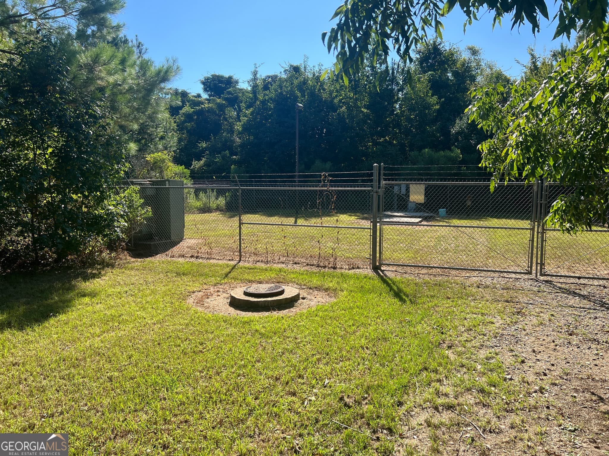 unimproved land for sale at 0 Industrial Boulevard, Hawkinsville, GA 31036 — photo 8