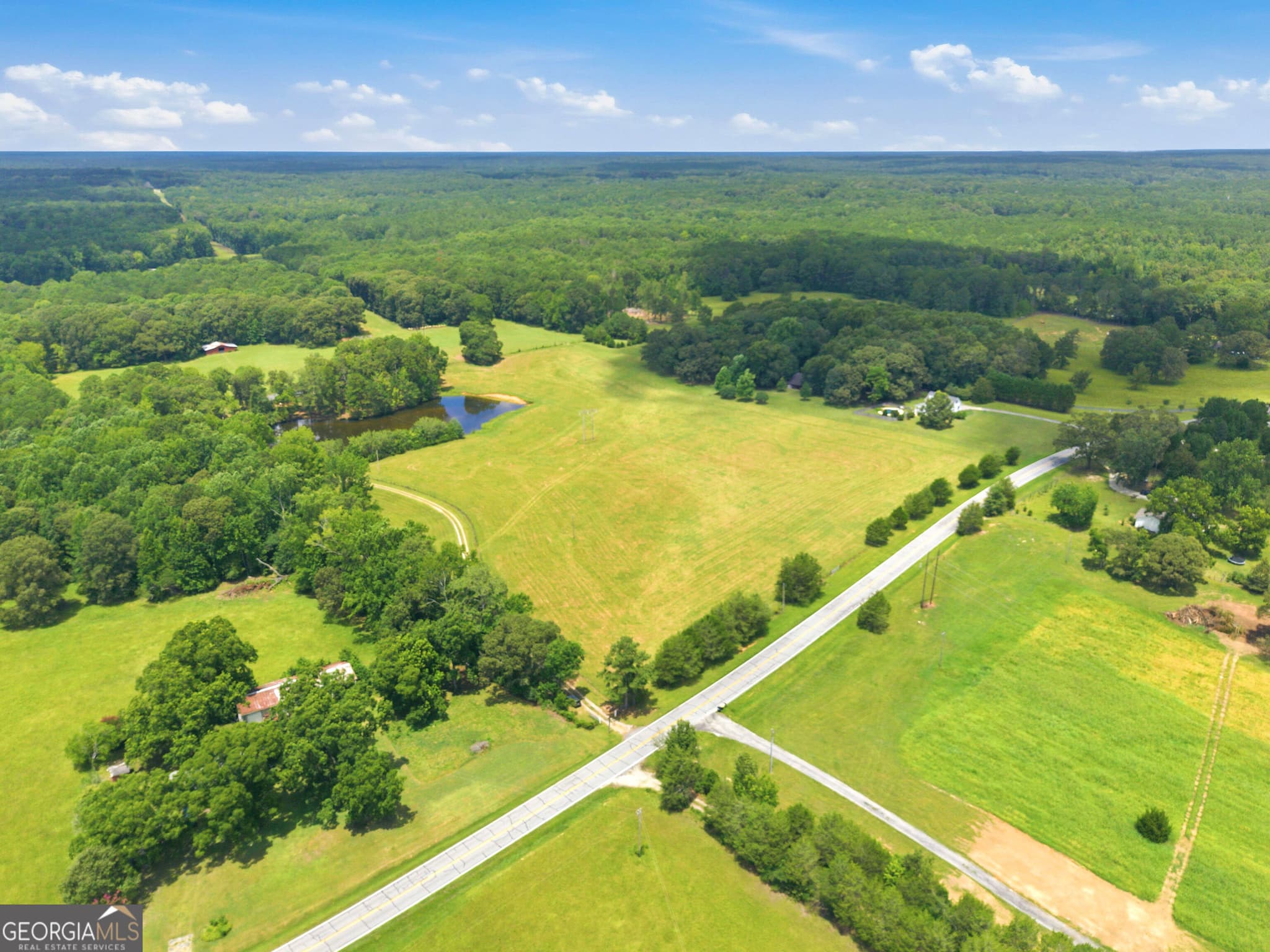 4 bedroom, 2 bathroom, 2,430 sq ft farm for sale at 607 Grant Road, Brooks, GA 30205 — photo 2