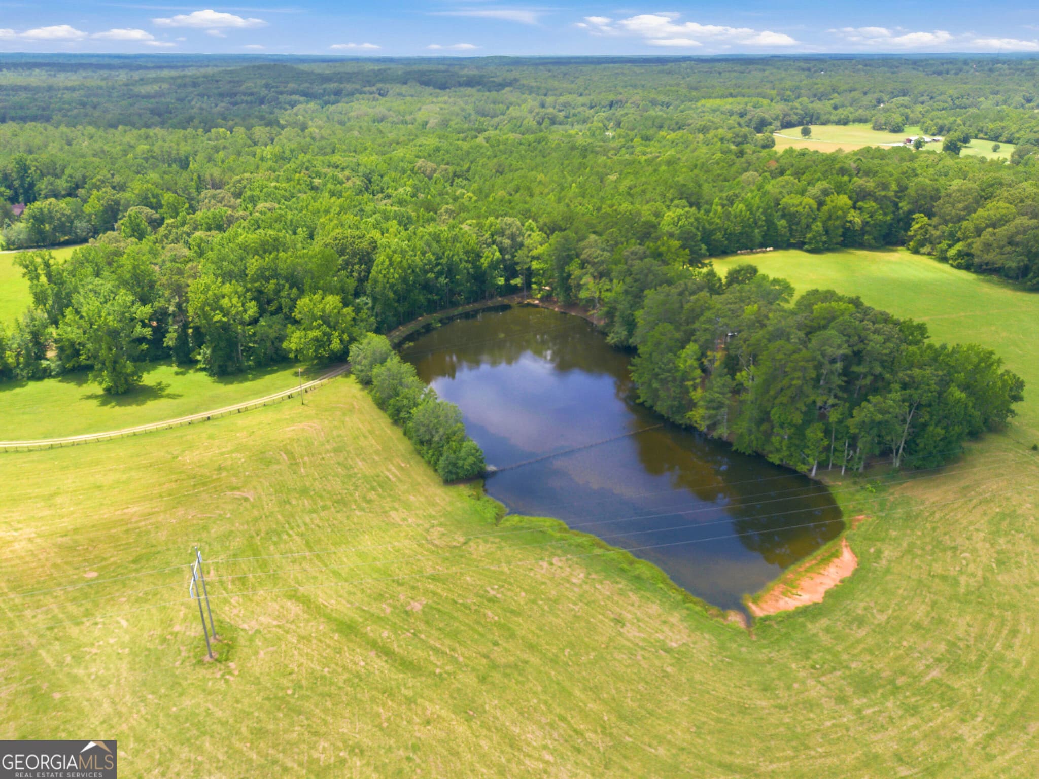 4 bedroom, 2 bathroom, 2,430 sq ft farm for sale at 607 Grant Road, Brooks, GA 30205 — photo 6