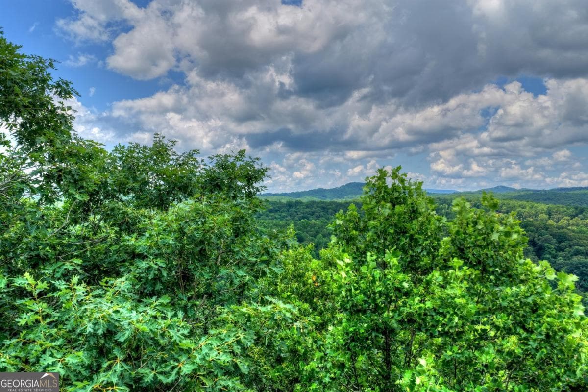 3 bedroom, 2 bathroom, 2,128 sq ft cabin,single family residence for sale at 221 Shade Tree Lane 15, Mineral Bluff, GA 30559 — photo 6