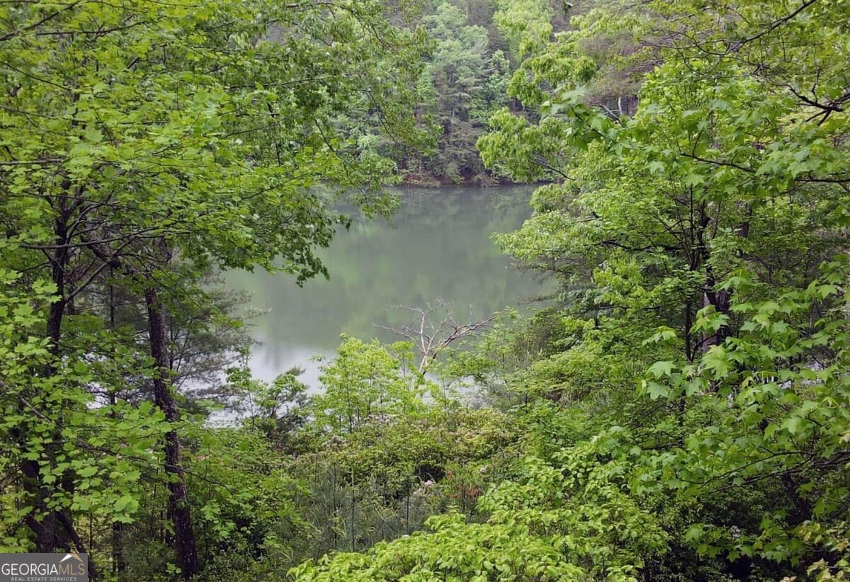 4 bedroom, 3 bathroom, 2,040 sq ft cabin,single family residence for sale at 66 Pine Ridge Court, Ellijay, GA 30536 — photo 6