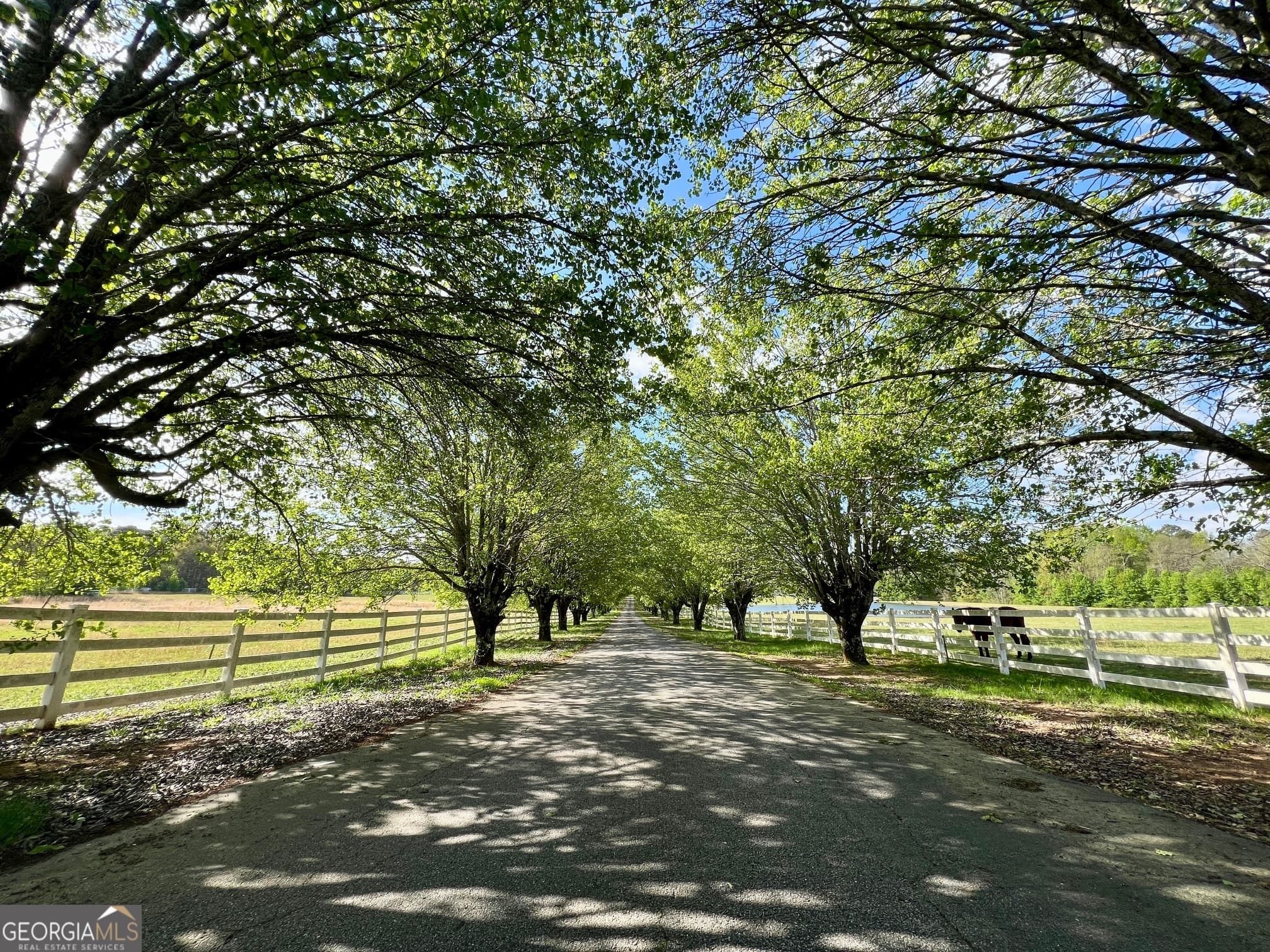 unimproved land for sale at 0 Highway 81, Mcdonough, GA 30253 — photo 8
