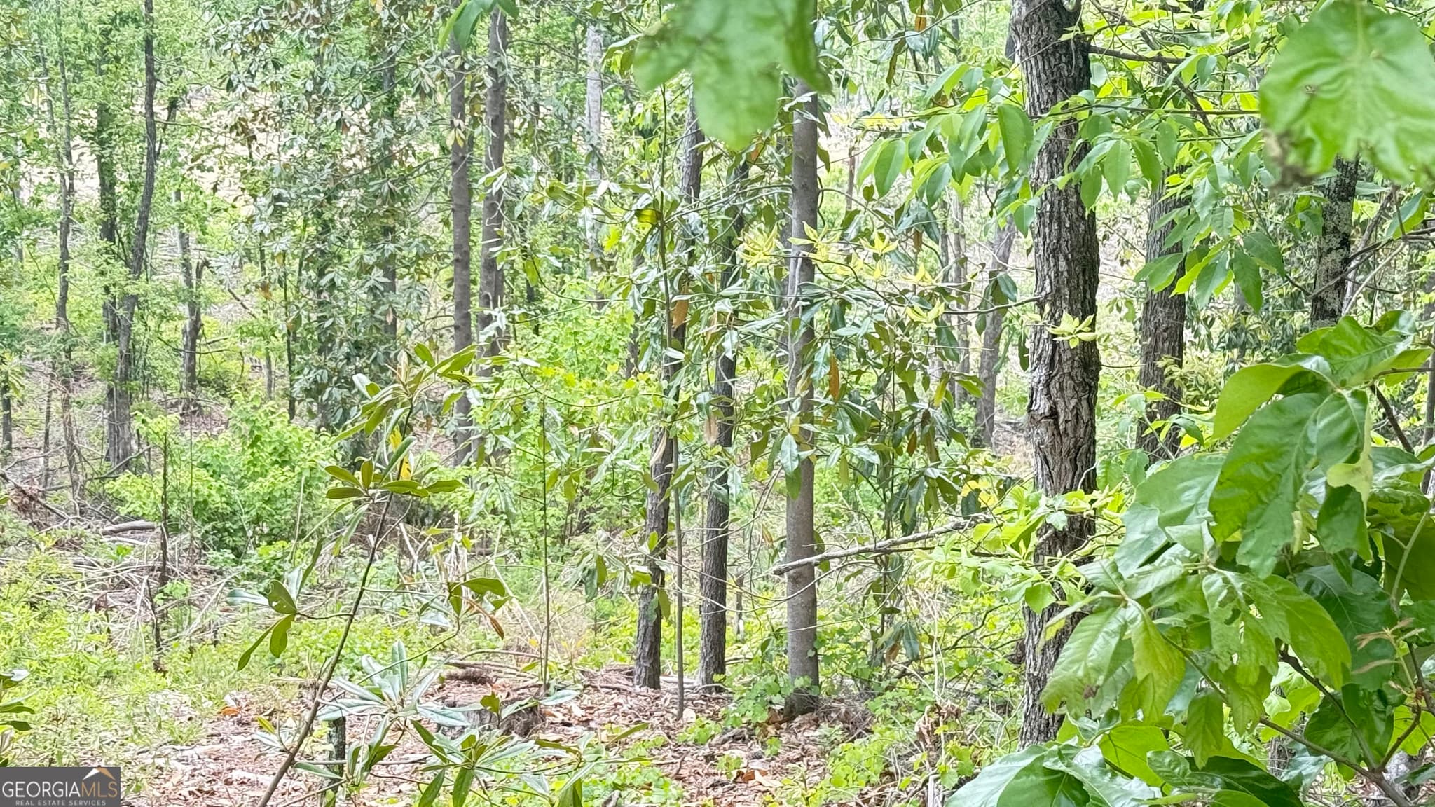 residential lot for sale at 0 Hulseytown Road, Dallas, GA 30157 — photo 2