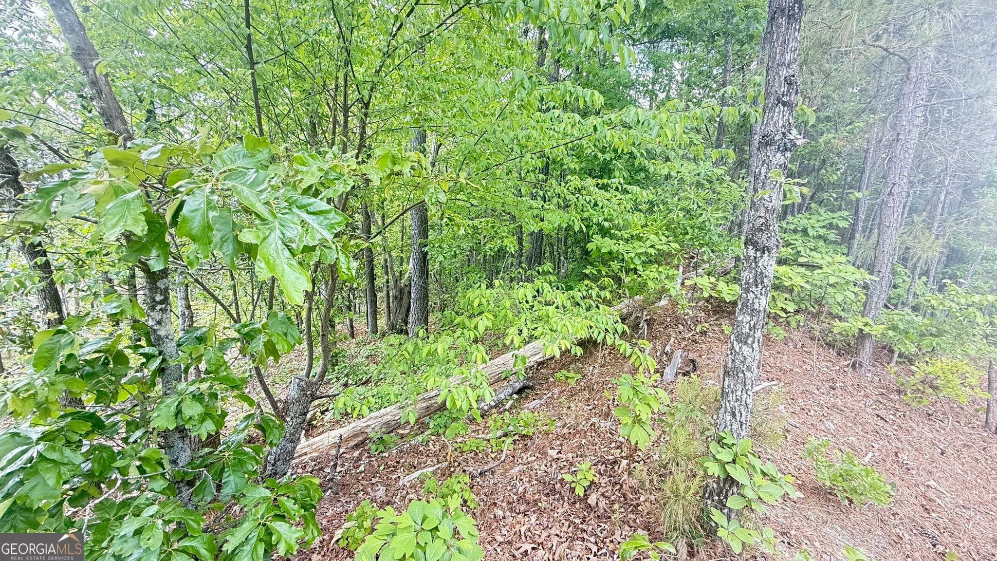 residential lot for sale at 0 Hulseytown Road, Dallas, GA 30157 — photo 3