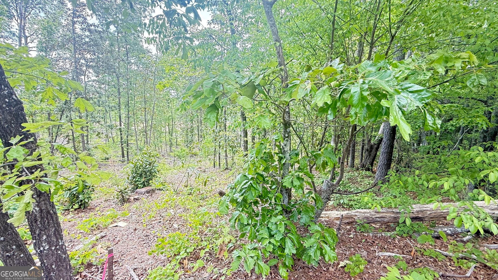 residential lot for sale at 0 Hulseytown Road, Dallas, GA 30157 — photo 4