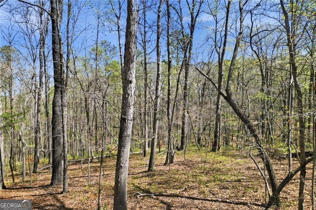 residential lot for sale at 3094 Flatbottom Road, Ball Ground, GA 30107 — photo 7