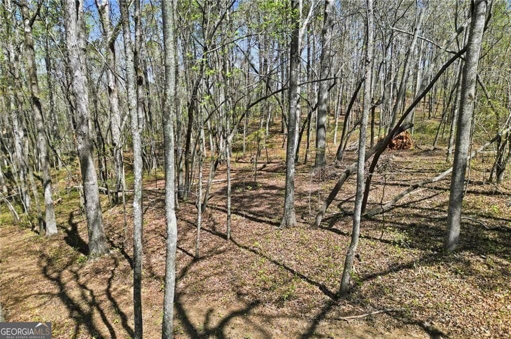 residential lot for sale at 3094 Flatbottom Road, Ball Ground, GA 30107 — photo 1 of 15