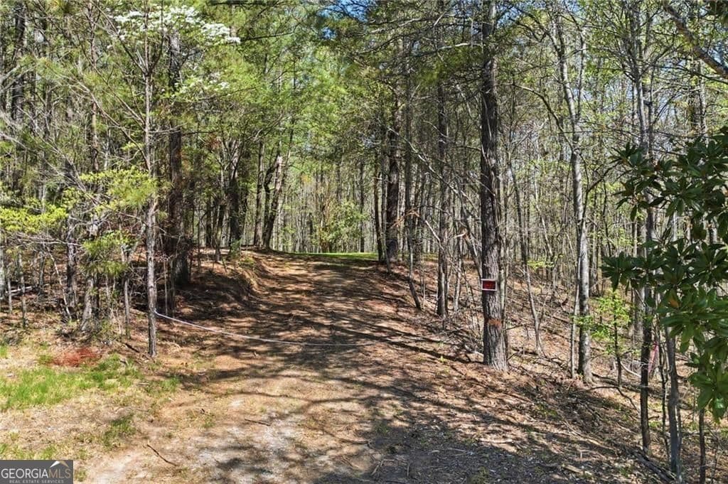 residential lot for sale at 3094 Flatbottom Road, Ball Ground, GA 30107 — photo 5