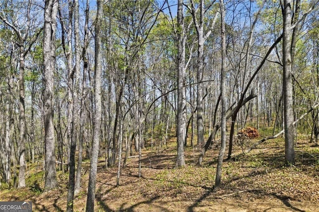 residential lot for sale at 3094 Flatbottom Road, Ball Ground, GA 30107 — photo 9