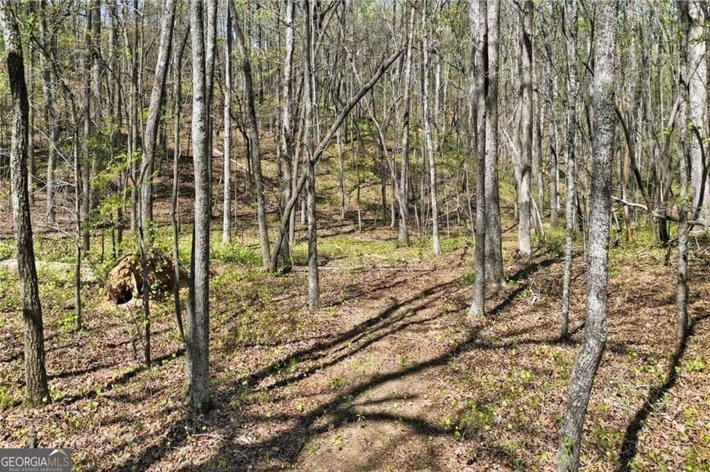 residential lot for sale at 3094 Flatbottom Road, Ball Ground, GA 30107 — photo 10