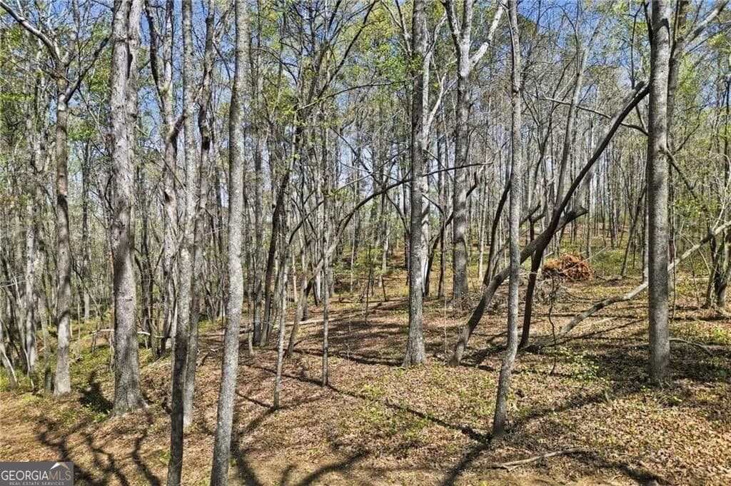 residential lot for sale at 3094 Flatbottom Road, Ball Ground, GA 30107 — photo 8