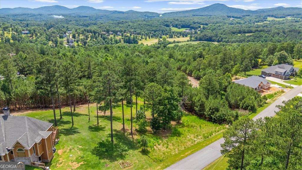 residential lot for sale at LOT 276 Thirteen Hundred, Blairsville, GA 30512 — photo 6