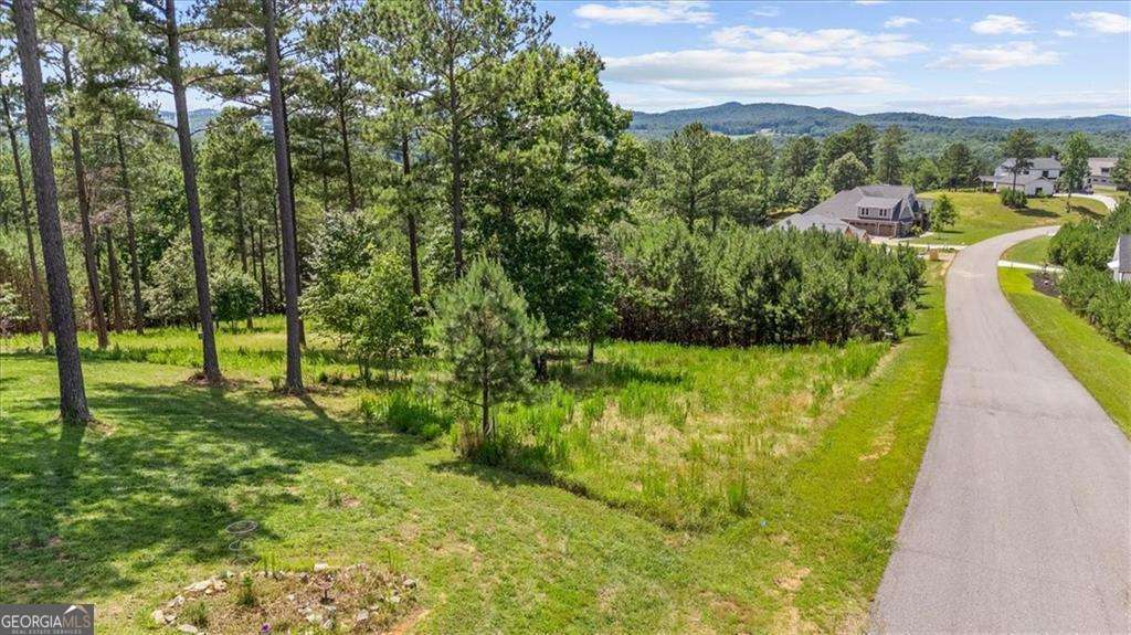 residential lot for sale at LOT 276 Thirteen Hundred, Blairsville, GA 30512 — photo 7