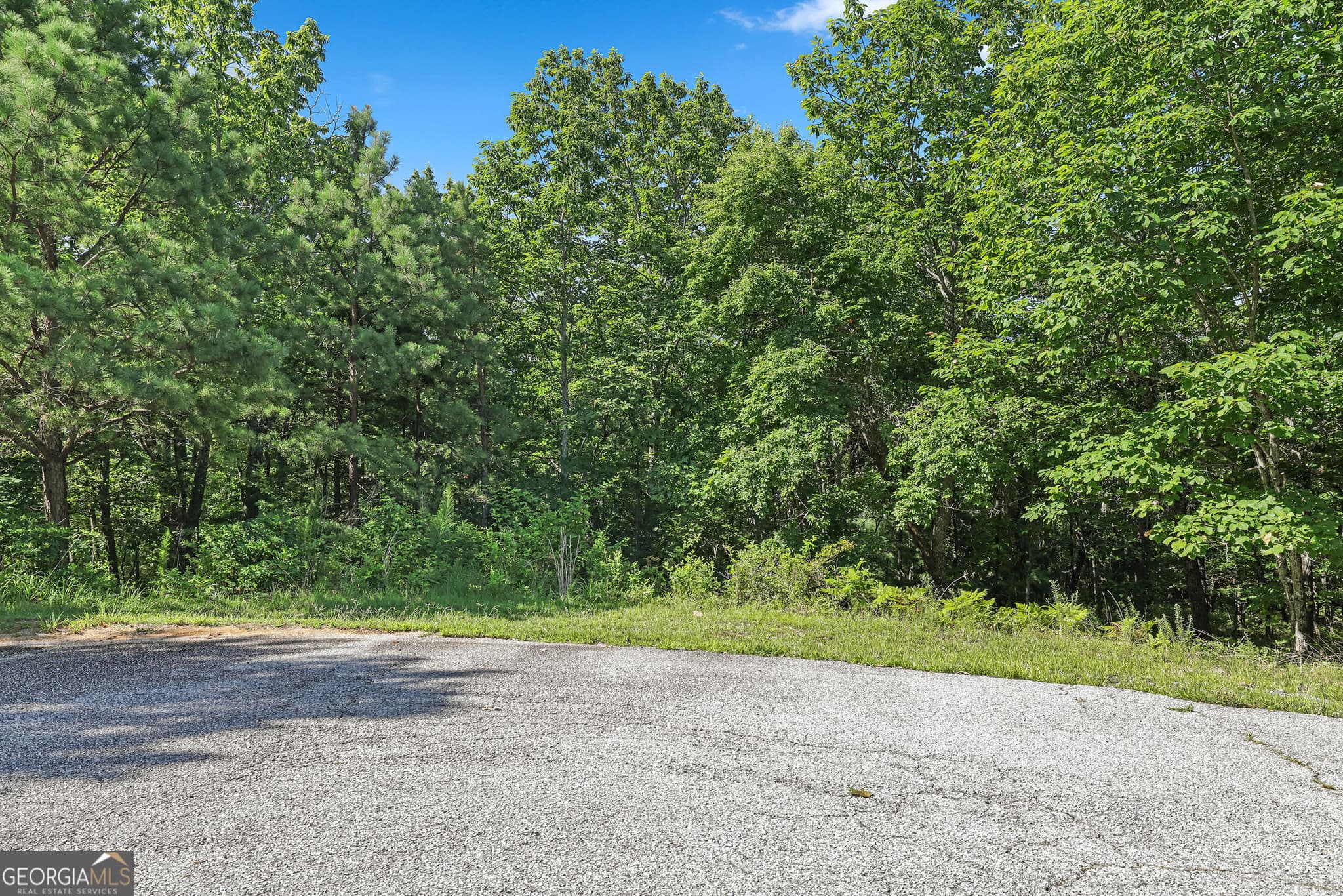 residential lot for sale at LOT 58 Mountain Sweet Drive, Clarkesville, GA 30523 — photo 10