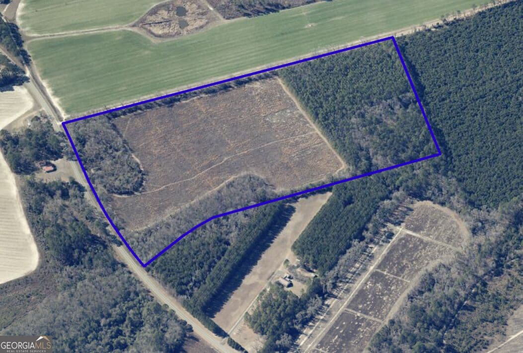 unimproved land for sale at 6417 Arcola Road, Brooklet, GA 30415 — photo 2