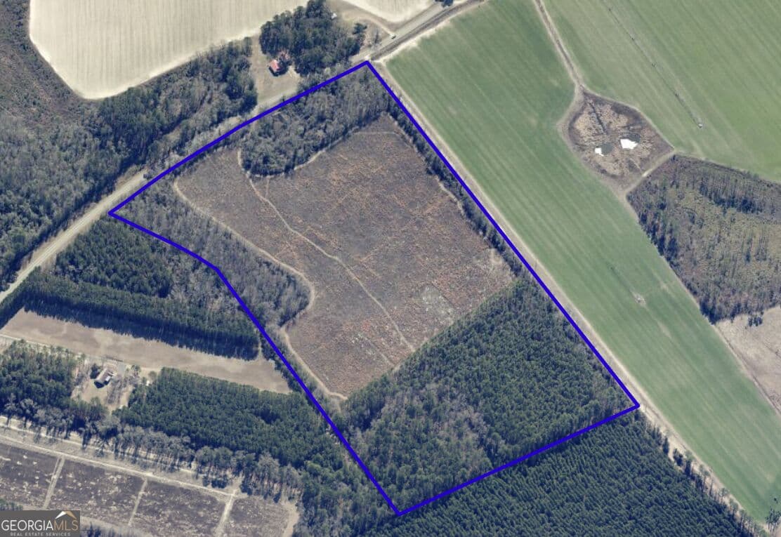 unimproved land for sale at 6417 Arcola Road, Brooklet, GA 30415 — photo 3
