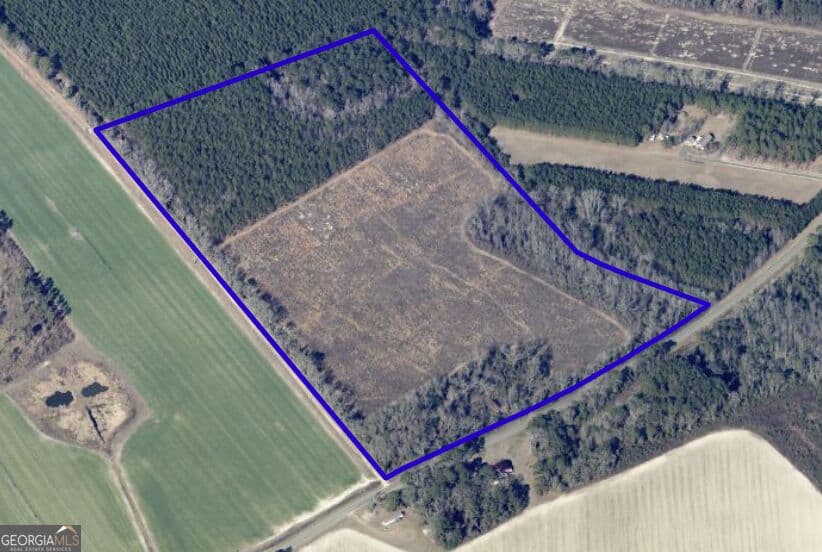 unimproved land for sale at 6417 Arcola Road, Brooklet, GA 30415