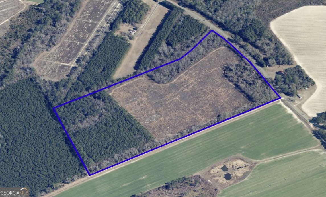 unimproved land for sale at 6417 Arcola Road, Brooklet, GA 30415 — photo 4