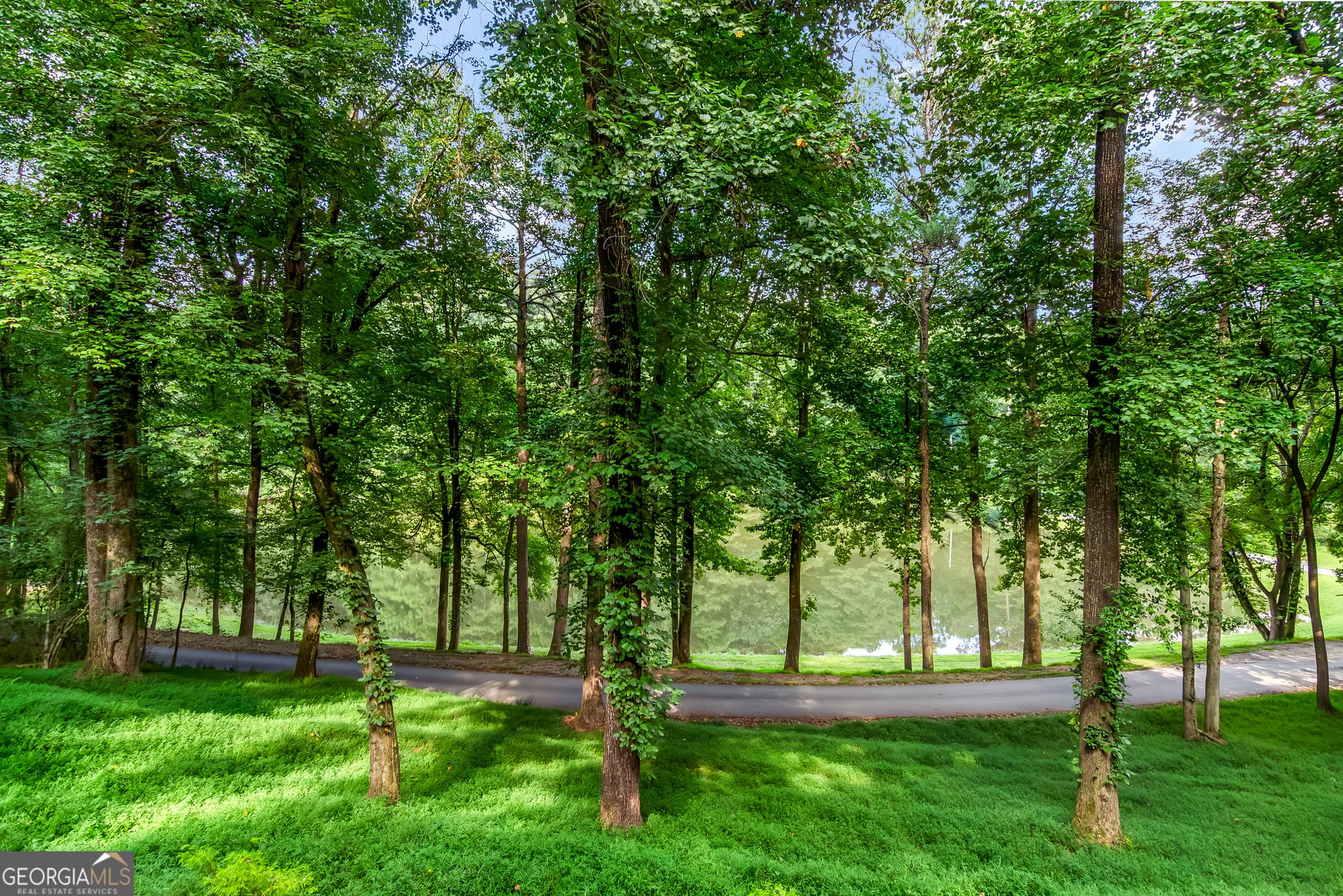 3 bedroom, 2 bathroom, 2,016 sq ft cabin,single family residence for sale at 165 Timberwalk Drive, Ellijay, GA 30540 — photo 3