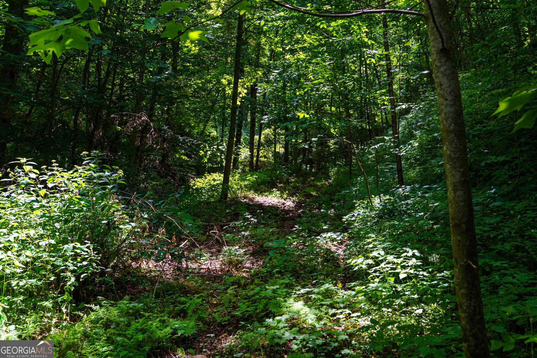 residential lot for sale at LOT OFF Buck Naked NA, Bryson City, NC 28713 — photo 7