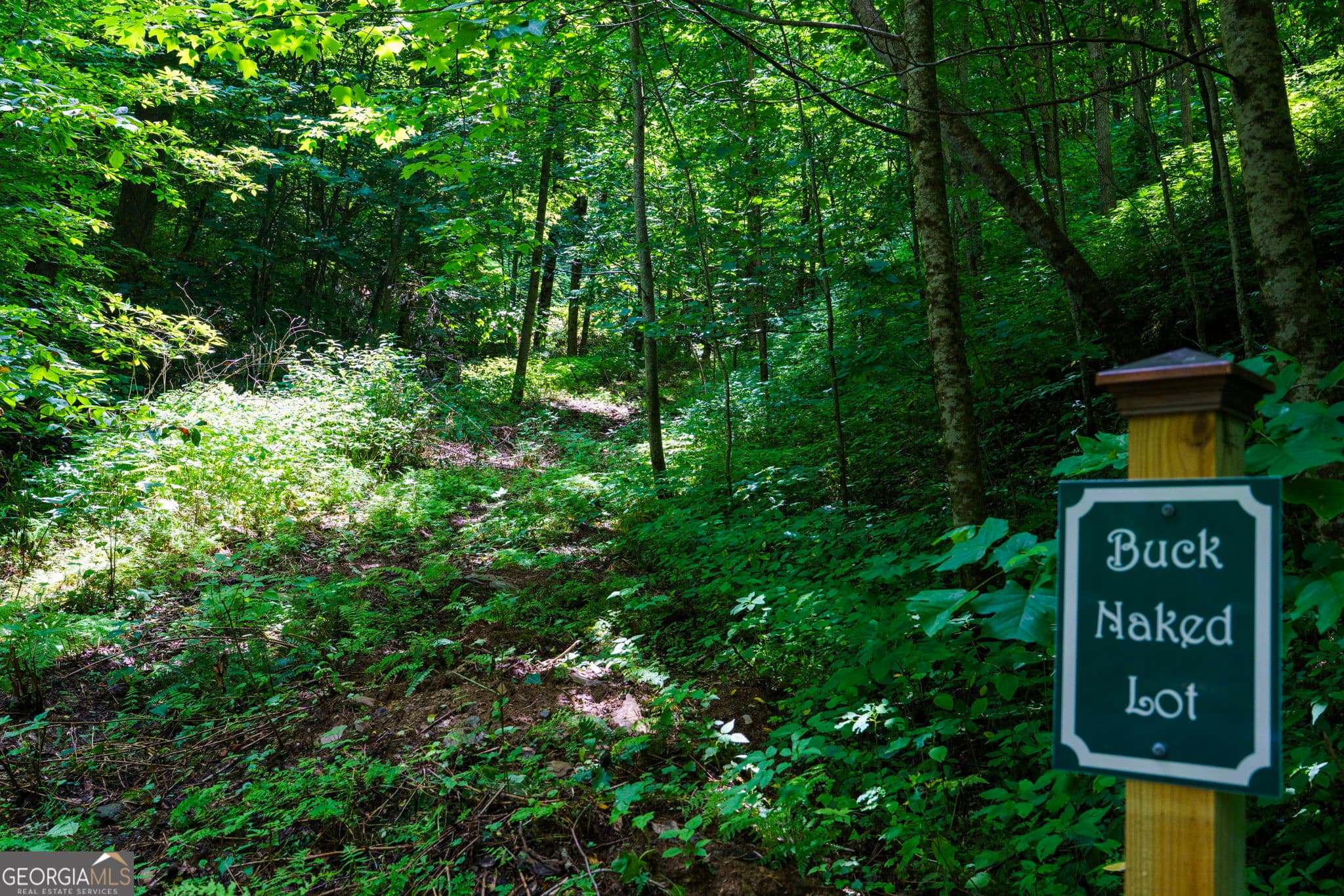 residential lot for sale at LOT OFF Buck Naked NA, Bryson City, NC 28713 — photo 3