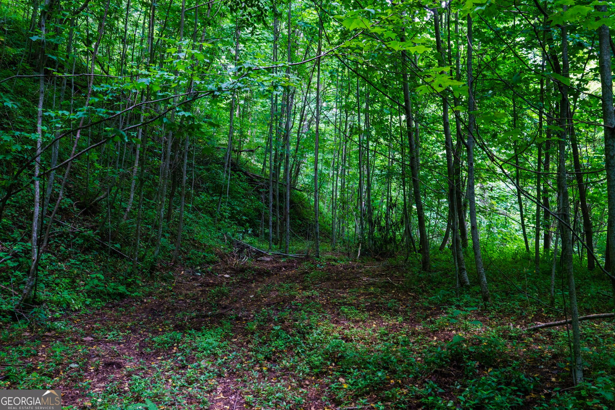 residential lot for sale at LOT OFF Buck Naked NA, Bryson City, NC 28713 — photo 5