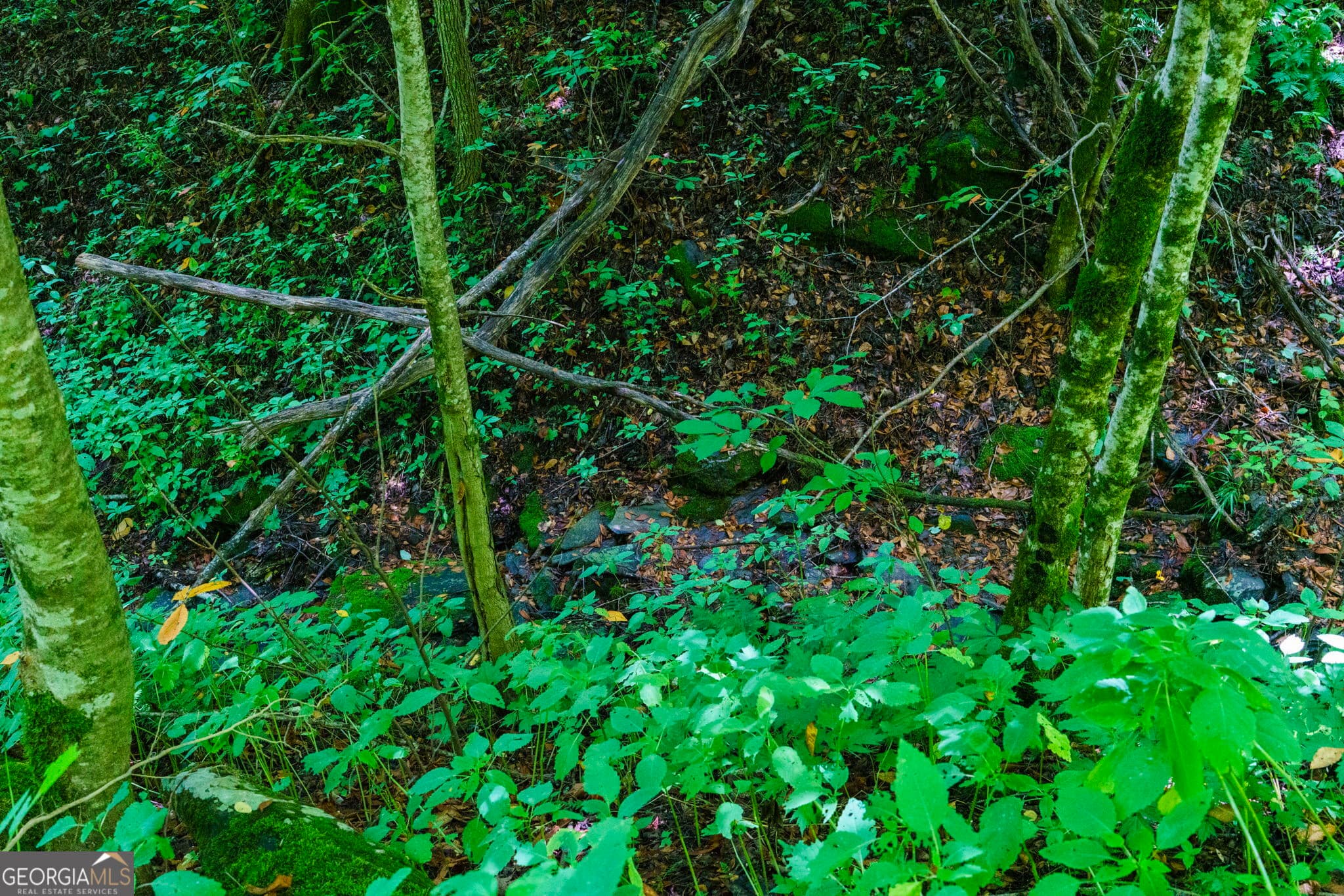 residential lot for sale at LOT OFF Buck Naked NA, Bryson City, NC 28713 — photo 9