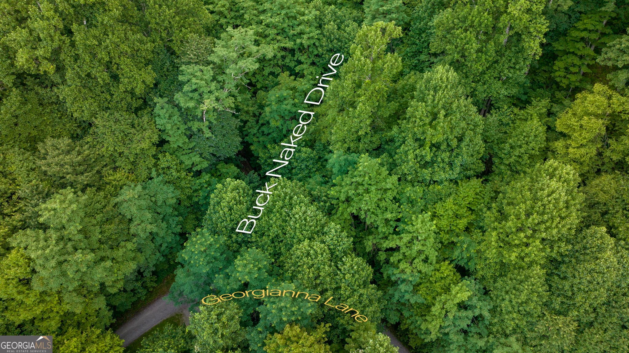 residential lot for sale at LOT OFF Buck Naked NA, Bryson City, NC 28713 — photo 4