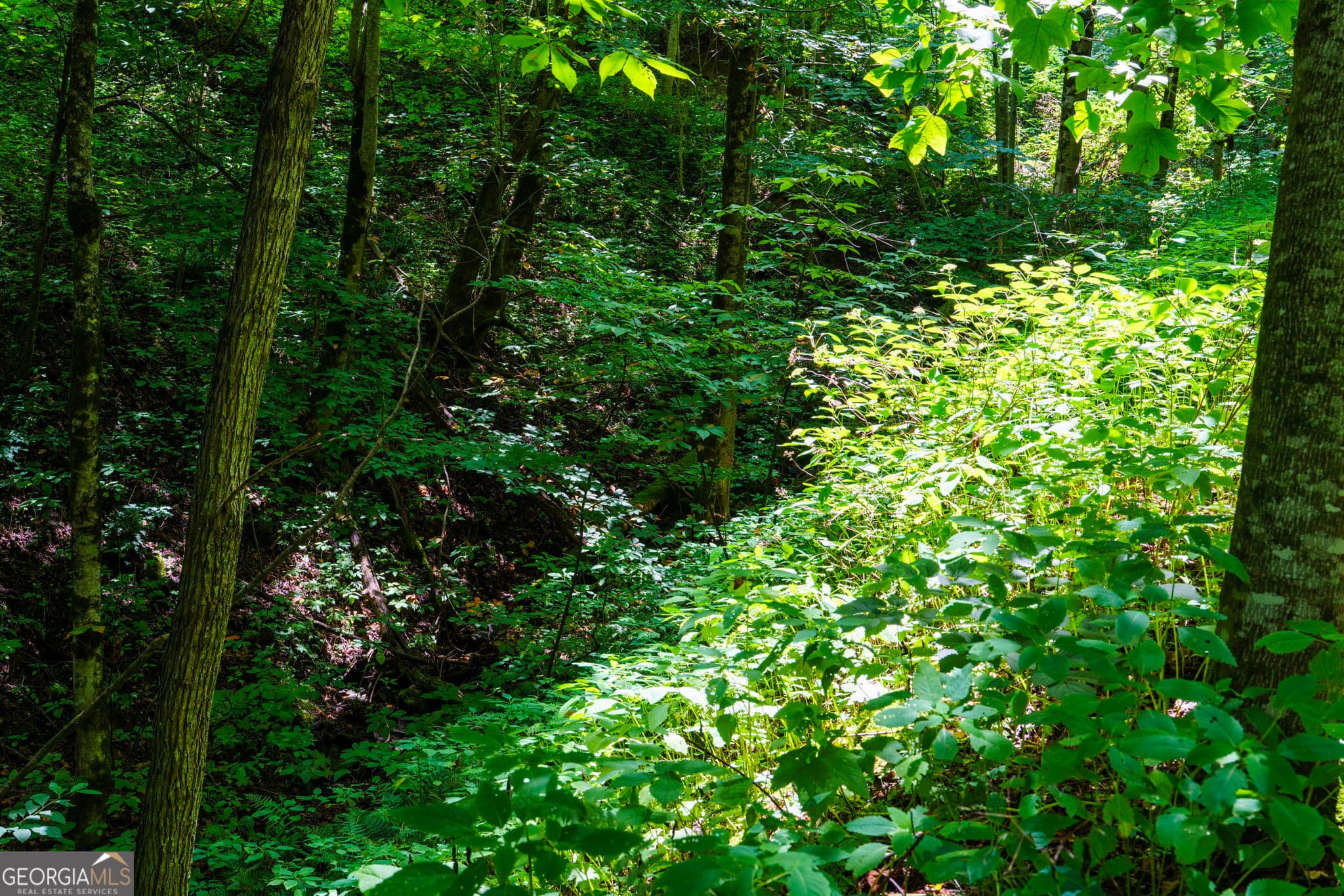residential lot for sale at LOT OFF Buck Naked NA, Bryson City, NC 28713 — photo 8
