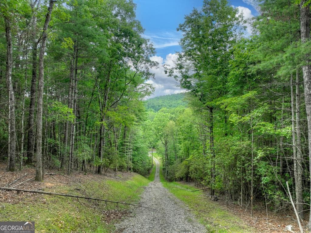 residential lot for sale at 1696 Rocky Top Road, Blairsville, GA 30512 — photo 6