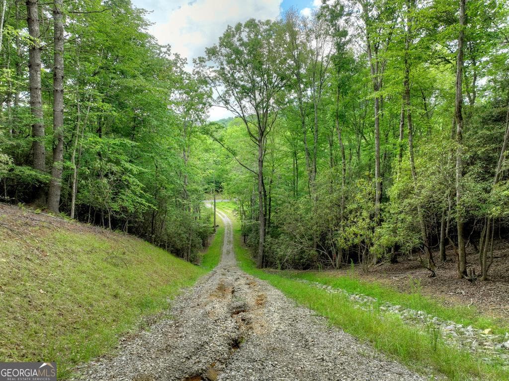 residential lot for sale at 1696 Rocky Top Road, Blairsville, GA 30512 — photo 7