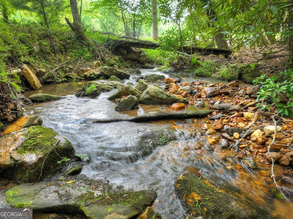 residential lot for sale at 1696 Rocky Top Road, Blairsville, GA 30512 — photo 3