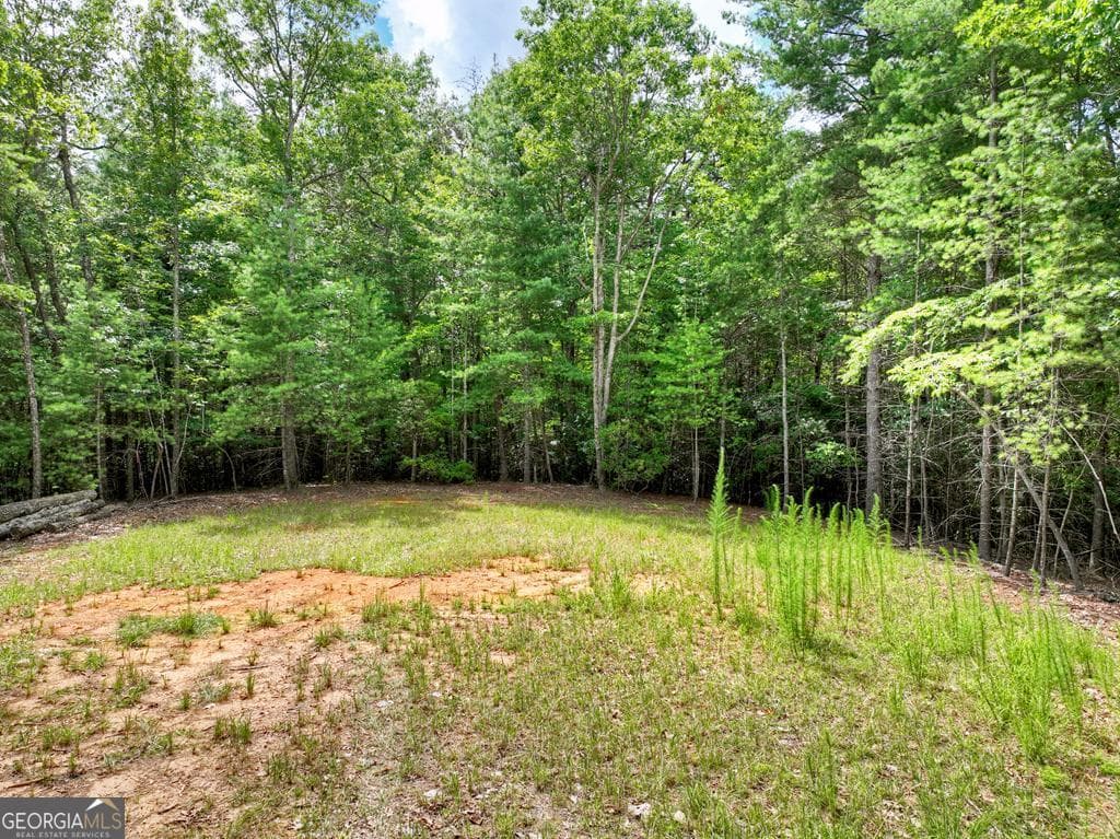 residential lot for sale at 1696 Rocky Top Road, Blairsville, GA 30512 — photo 5