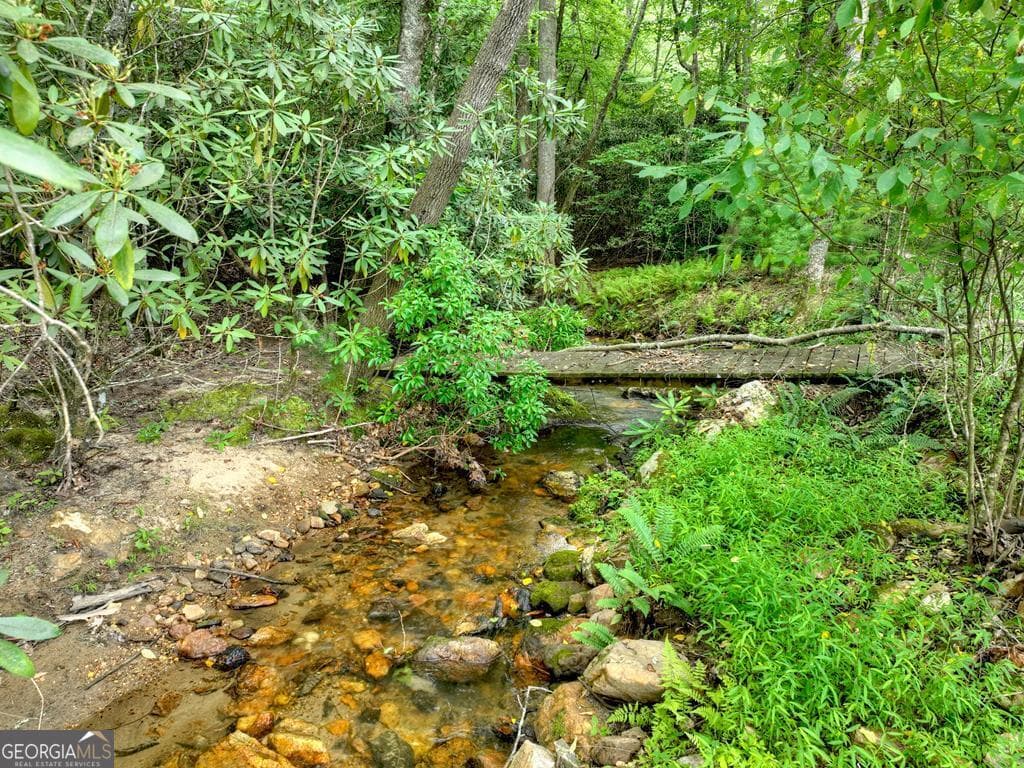 residential lot for sale at 1696 Rocky Top Road, Blairsville, GA 30512 — photo 9