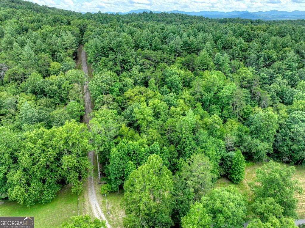 residential lot for sale at 1696 Rocky Top Road, Blairsville, GA 30512 — photo 10