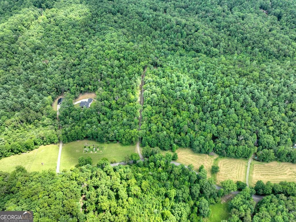 residential lot for sale at 1696 Rocky Top Road, Blairsville, GA 30512 — photo 4
