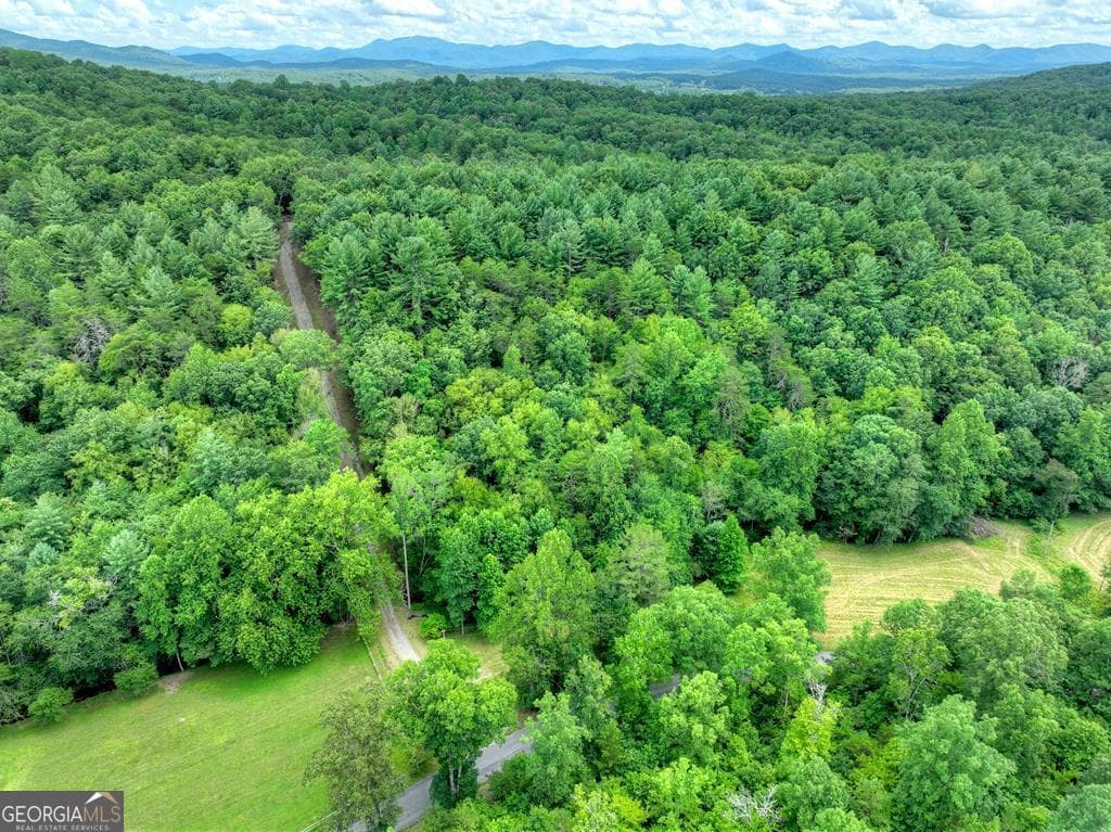 residential lot for sale at 1696 Rocky Top Road, Blairsville, GA 30512 — photo 8