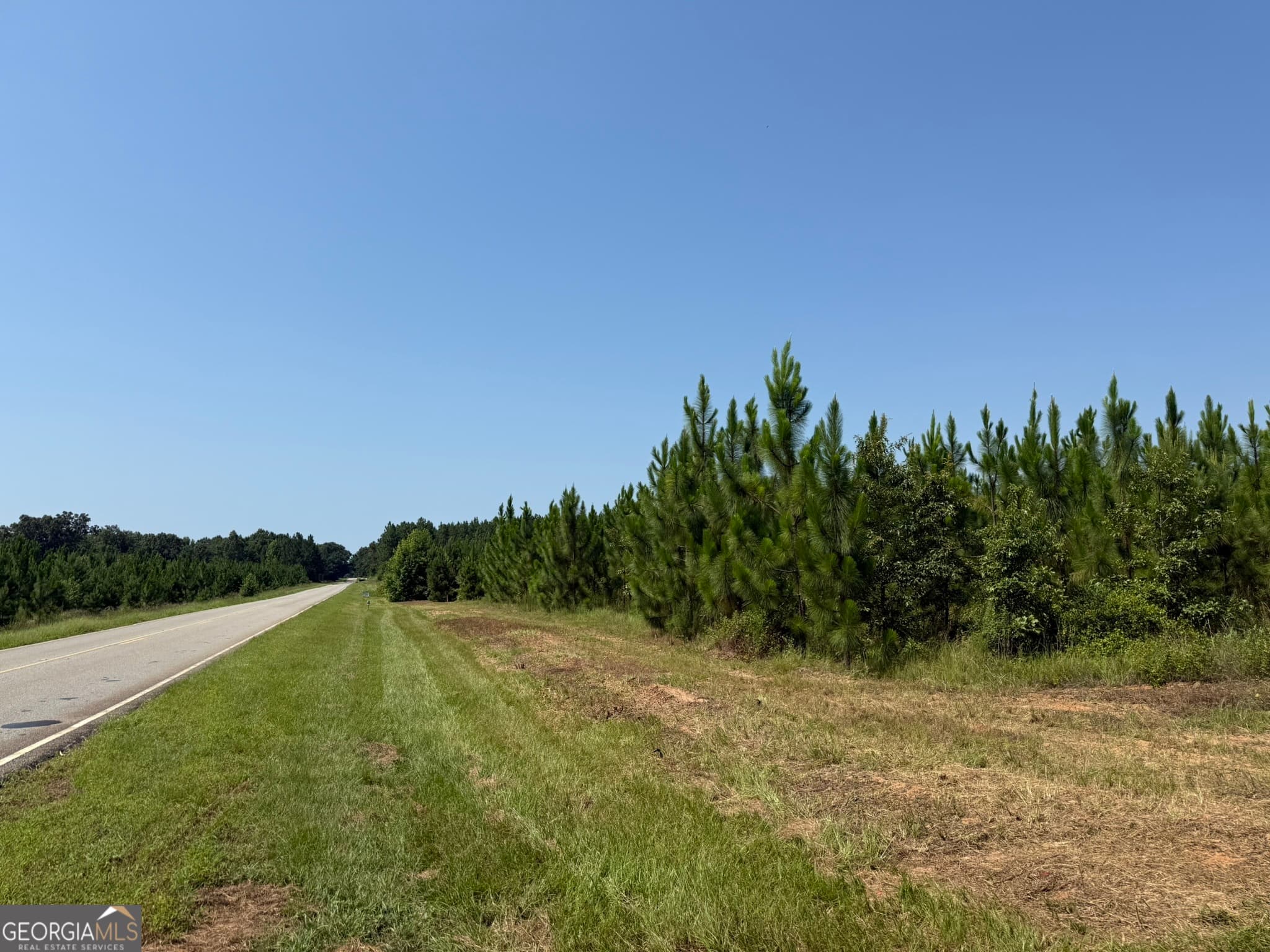 agriculture for sale at 002 Barge Road, Lumpkin, GA 31815 — photo 2