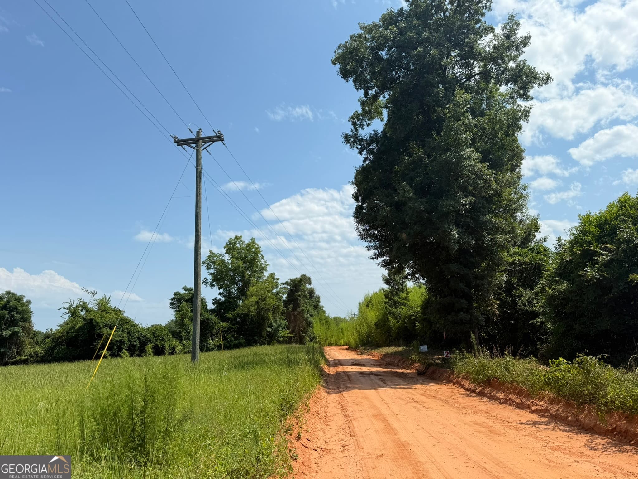 agriculture for sale at 002 Barge Road, Lumpkin, GA 31815 — photo 7