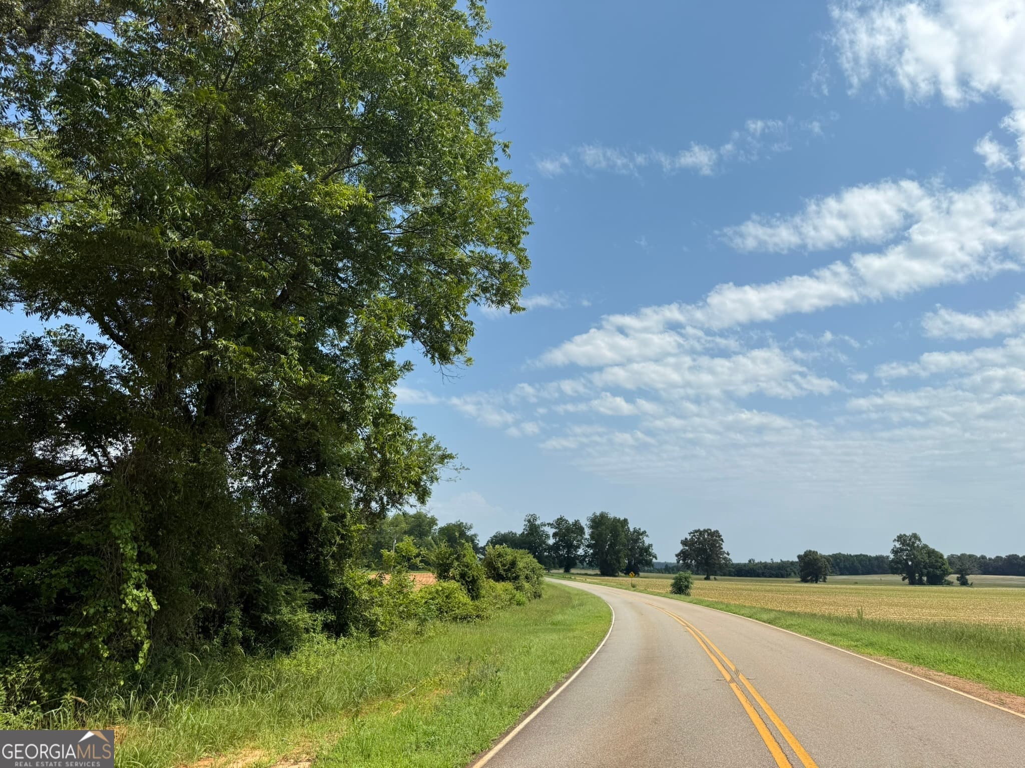 agriculture for sale at 002 Barge Road, Lumpkin, GA 31815
