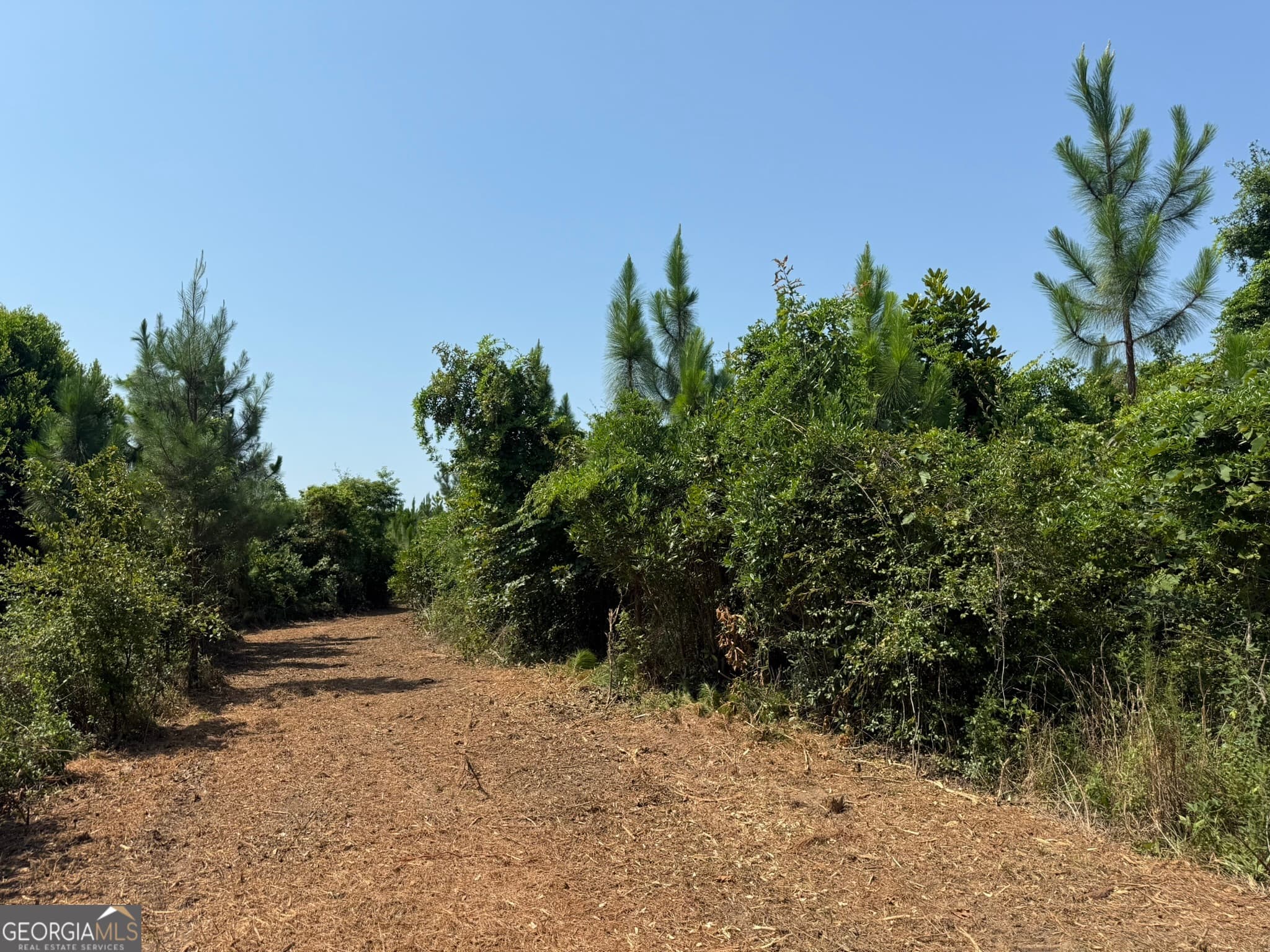 agriculture for sale at 002 Barge Road, Lumpkin, GA 31815 — photo 5
